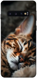 Чехол на Samsung Galaxy S10 Cat paws фото 1 из 1