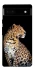 Чехол на Google Pixel 6a Leopard v2 фото 1 из 1