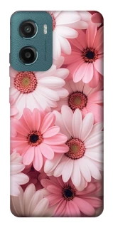 Чохол на Motorola Moto G06 Рожеві Квіти v2 фото 1 з 1