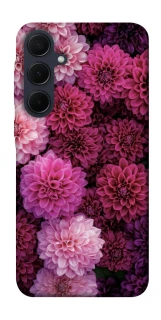 Чехол на Samsung Galaxy A35 Garden1 фото 1 из 1