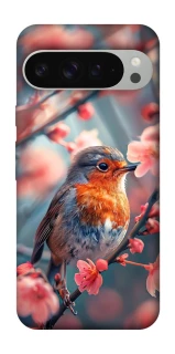 Чохол на Google Pixel 9 Pro XL Birdie фото 1 з 1