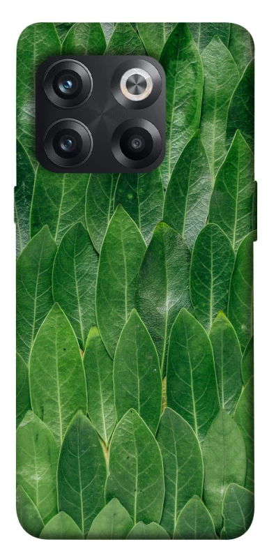 Чохол на OnePlus 10T Листя фото 1 з 1