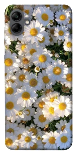 Чохол на Samsung Galaxy A04 Поле ромашок фото 1 з 1