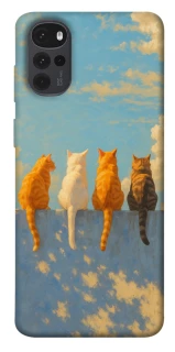 Чехол на Motorola Moto G22 cats on wall фото 1 из 1