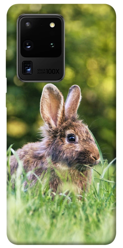 Чехол на Samsung Galaxy S20 Ultra Кролики фото 1 из 1
