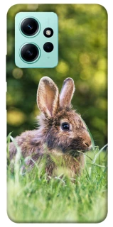 Чехол на Xiaomi Redmi Note 12 4G Кролики фото 1 из 1