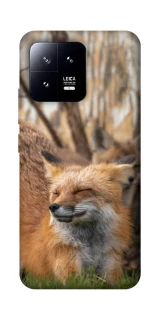 Чехол на Xiaomi 13 Лиса фото 1 из 1