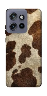 Чехол на Motorola Edge 50 Neo Cow фото 1 из 1