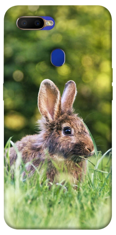 Чехол на Oppo A5s Кролики фото 1 из 1