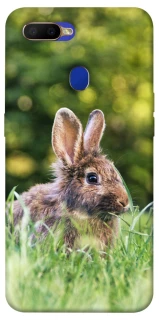 Чехол на Oppo A5s Кролики фото 1 из 1