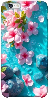 Чохол на Apple iPhone 6/6s plus (5.5") Flowers v19 фото 1 з 1