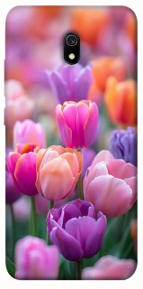 Чохол на Xiaomi Redmi 8a Тюльпанове поле фото 1 з 1
