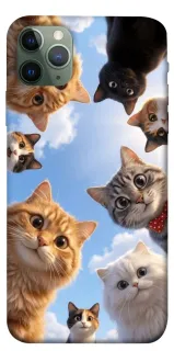Чехол на Apple iPhone 11 Pro Max (6.5") Cats фото 1 из 1