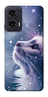 Чехол на Motorola Moto G35 Snow cat фото 1 из 1