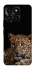 Чехол на Huawei Honor X6a Leopard v4 фото 1 из 1