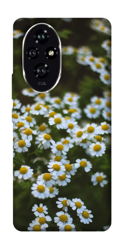 Чехол на Honor 200 Ромашки v13 фото 1 из 1