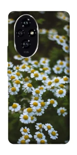 Чехол на Honor 200 Ромашки v13 фото 1 из 1