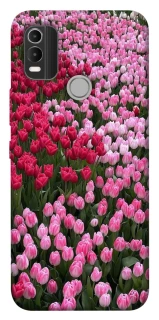 Чохол на Nokia C21 Plus Flowers v9 фото 1 з 1