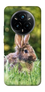 Чехол на Realme 14 Pro+ Кролики фото 1 из 1