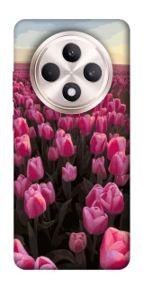 Чехол на Oppo Reno 12 F 4G/5G Spring Awakening фото 1 из 1