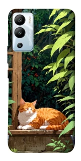 Чехол на Infinix Hot 12i red cat фото 1 из 1