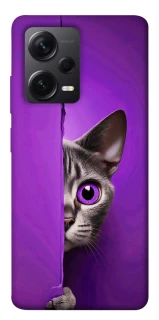 Чохол на Xiaomi Redmi Note 12 Pro+ 5G Кіт-підглядач фото 1 з 1