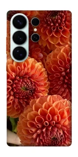 Чехол на Samsung Galaxy S26 Ultra Flower1 фото 1 из 1