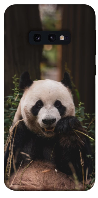 Чехол на Samsung Galaxy S10e Панда фото 1 из 1