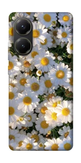 Чохол на Xiaomi Poco X6 Pro Поле ромашок фото 1 з 1