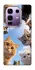 Чехол на Infinix Note 50 Pro+ Cats фото 1 из 1