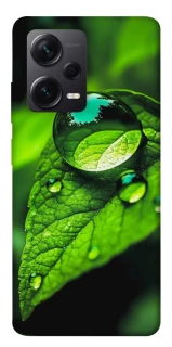 Чехол на Xiaomi Redmi Note 12 Pro+ 5G Flowers v16 фото 1 из 1