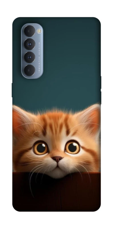 Чохол на Oppo Reno 4 Pro Чохол Кошеня фото 1 з 1