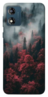 Чехол на Motorola Moto E13 Red Wood фото 1 из 1