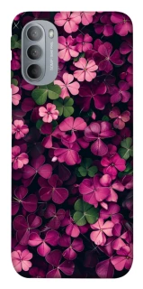 Чохол на Motorola Moto G31 Flowers v7 фото 1 з 1