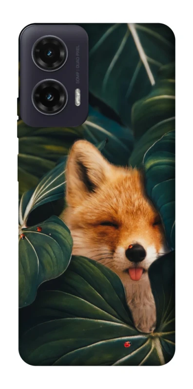 Чохол на Motorola Moto G35 Fox фото 1 з 1
