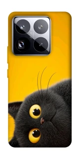 Чохол на Xiaomi 15 Pro This is Cat фото 1 з 1