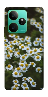 Чехол на Realme GT 7 Ромашки v13 фото 1 из 1