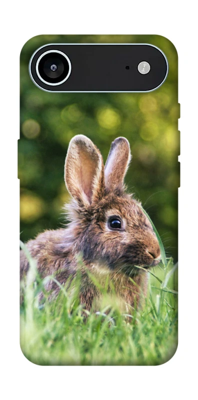 Чехол на Apple iPhone 17 Air (6.5") Кролики фото 1 из 1