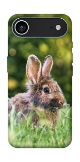 Чехол на Apple iPhone 17 Air (6.5") Кролики фото 1 из 1