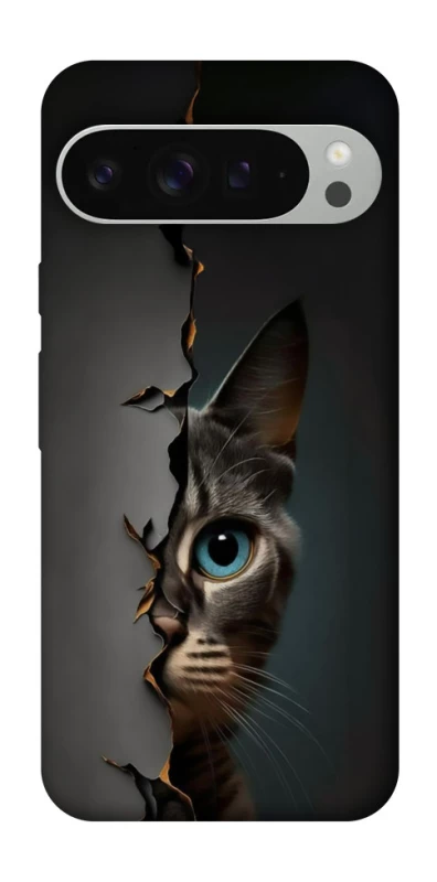 Чохол на Google Pixel 9 Pro XL Кіт-підглядач v2 фото 1 з 1