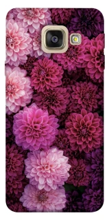 Чехол на Samsung A520 Galaxy A5 (2017) Garden1 фото 1 из 1