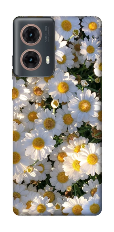 Чохол на Motorola Moto G85 Поле ромашок фото 1 з 1