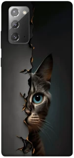 Чехол на Samsung Galaxy Note 20 Кот-подглядыватель v2 фото 1 из 1