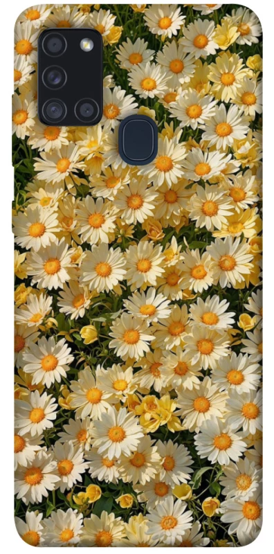 Чохол на Samsung Galaxy A21s Camomile фото 1 з 1