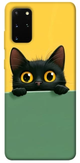 Чехол на Samsung Galaxy S20+ Black cat v2 фото 1 из 1