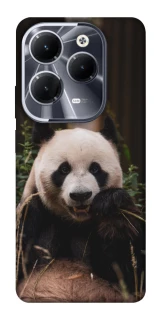 Чехол на Infinix Hot 40 Pro Панда фото 1 из 1