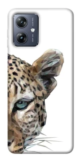 Чохол на Motorola Moto G54 Leopard Art v2 фото 1 Чохол на Motorola Moto G54 Leopard Art v2 фото 1 з 1