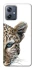 Чохол на Motorola Moto G54 Leopard Art v2 фото 1 Чохол на Motorola Moto G54 Leopard Art v2 фото 1 з 1