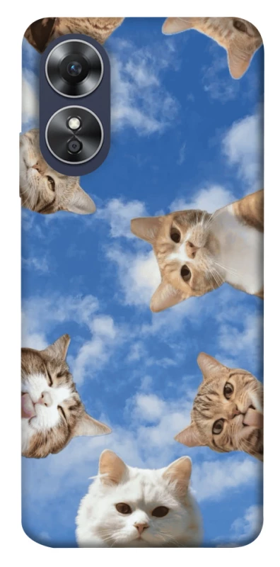 Чохол на Oppo A17 Сats фото 1 з 1