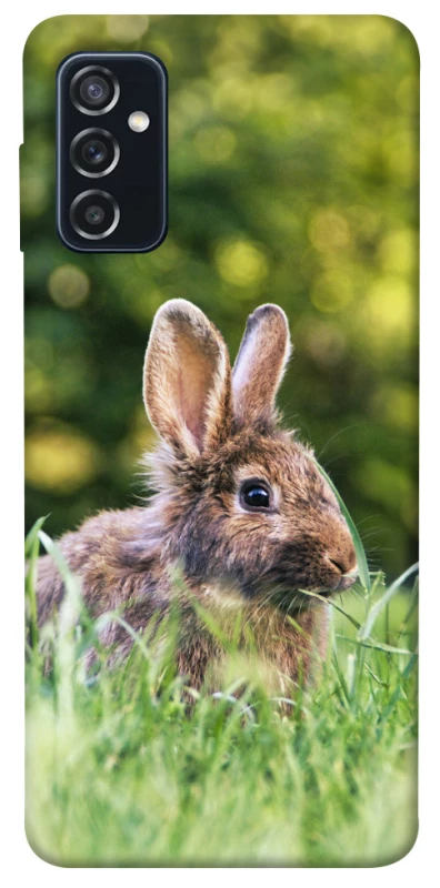 Чохол на Samsung Galaxy M52 Кролики фото 1 з 1